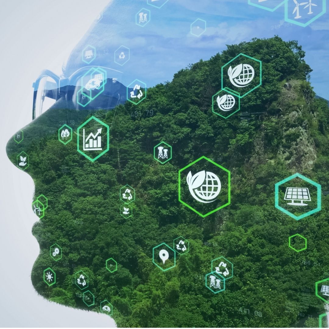 Vieses Cognitivos e a Armadilha da Inação Ambiental
