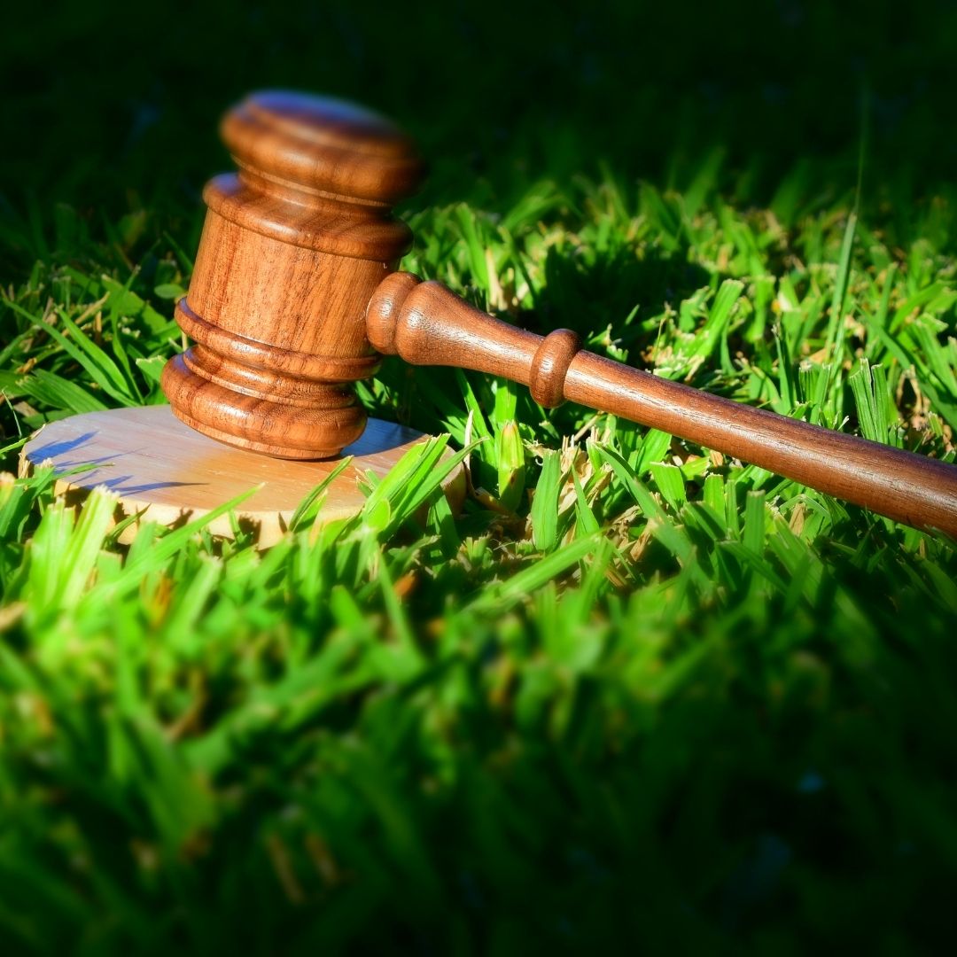 Crimes Ambientais e Reincidência: Por que as infrações continuam mesmo com leis e punições?