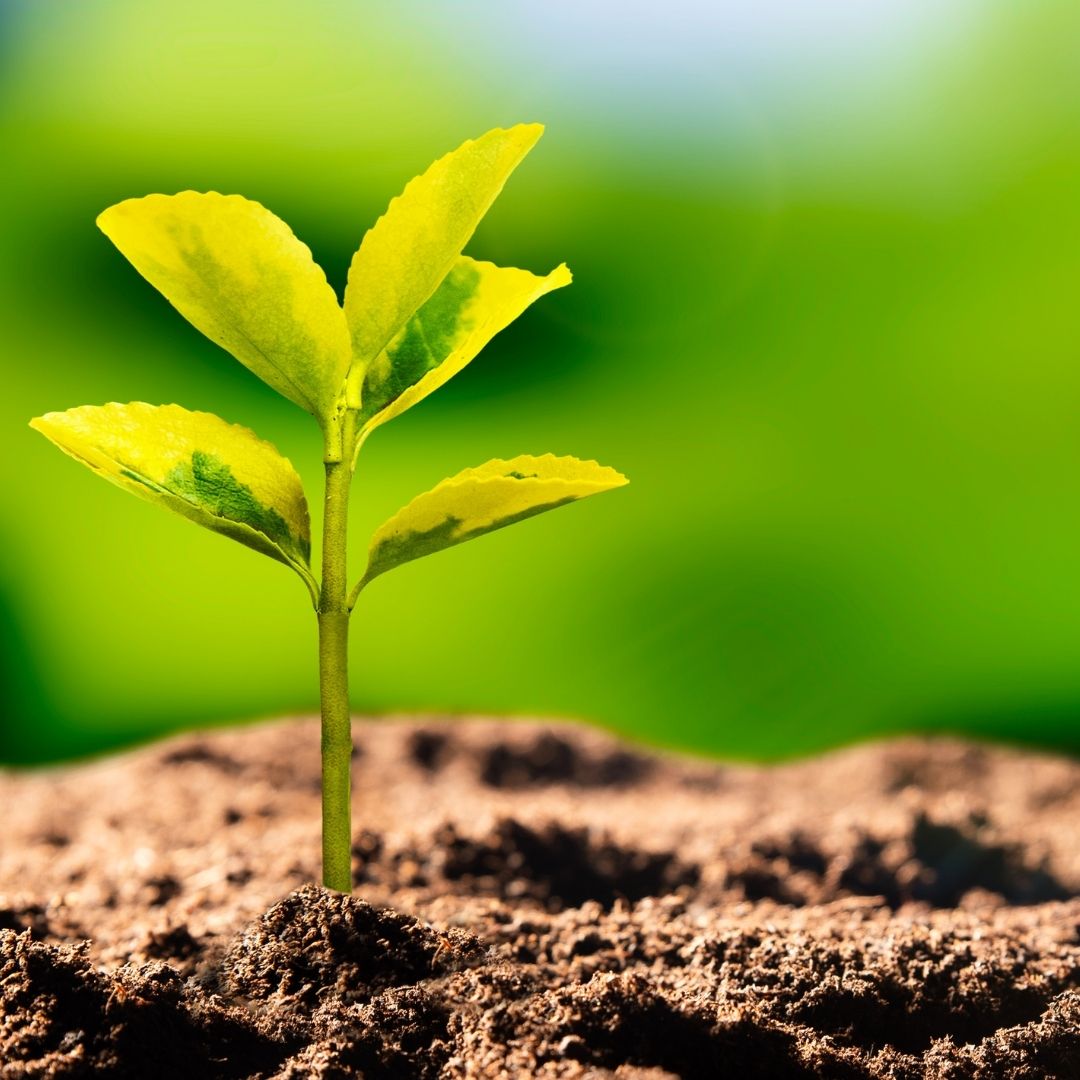 O que muda com a nova Lei Geral do Licenciamento Ambiental (PL 2.159/2021)?